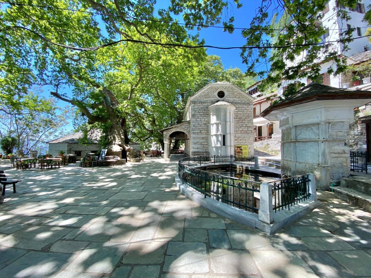 Archontika Karamarlis Hotel Makrinítsa Exterior foto